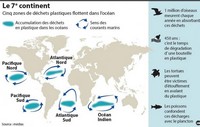 Carte 7e Continent impact animaux