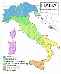 carte Italie flore