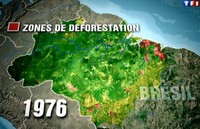 carte zones de déforestation Amazonie en 1976