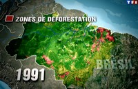 carte zones de déforestation amazonie en 1991