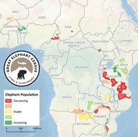 carte disparition des éléphants en Afrique avec l'état de la population