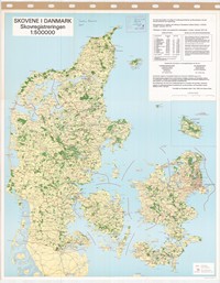 grande carte Danemark routes principales secondaires villes villages