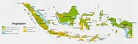 carte Indonésie type de végétation
