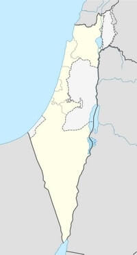 carte vierge Israël