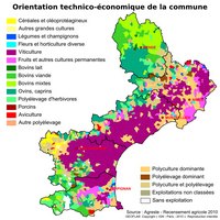 carte Languedoc-Roussillon orientation technico-économique des communes