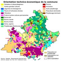 carte Provence-Alpes-Côte d'Azur orientation technico-économique commune