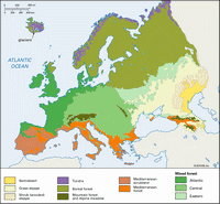 Carte de l'Europe avec les différents types de végétation