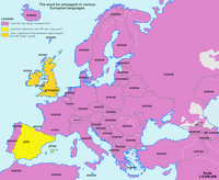 Carte de l'Europe avec l'étymologie du mot ananas dans les langues