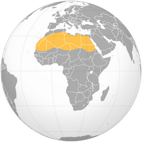 Carte désert Sahara localisation