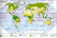 Carte de la végétation et des courants marin du monde.