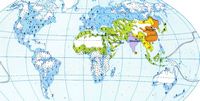 Carte des religions dans le monde