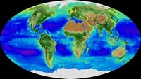 Carte du monde satellite de la NASA avec la respiration de la Terre et en rouge la diminution de la vie marine