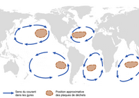 Carte du 7ème Continent avec les gyres océaniques et les zones de déchets