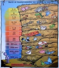 Durée de la biodégradabilité des déchets en mer