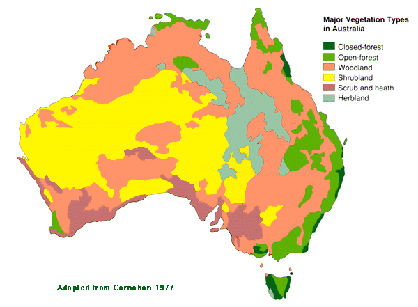 Carte du type de végétation et de forêt en Australie.