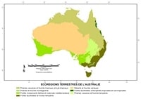 Carte de l'Australie avec les écorégions terrestres