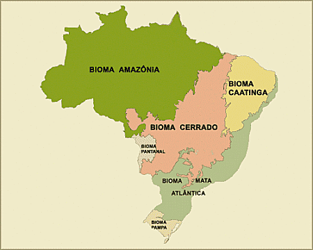 Les six biomes ou éco-régions du Brésil.