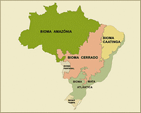 biomes écorégions Brésil