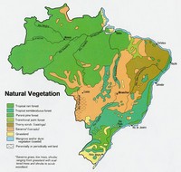 Carte du Brésil avec le type de végétation
