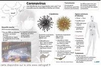 Informations coronavirus signes infection