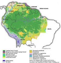 carte Amazonie selon le type et l'état des forêts