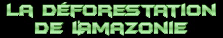 La déforestation Amazonie