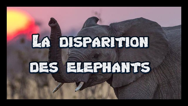 La disparition des éléphants