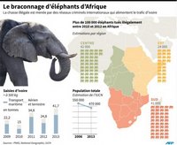 Carte de la disparition des éléphants d'Afrique avec le braconnage et le nombre d'éléphants tués