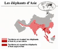 Carte de la disparition des éléphants d'Asie en un siècle