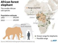 Carte de la disparition des éléphants avec la répartition des éléphants de forêt en Afrique