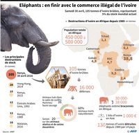 Carte de la disparition des éléphants avec les destructions du stock d'ivoire selon les pays