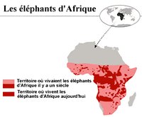 carte disparition des éléphants Afrique en un siècle