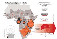 carte disparition éléphants trafic ivoire origine destination