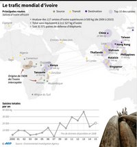 Carte de la disparition des éléphants avec le trafic mondial de l'ivoire et les saisies
