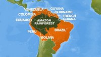 Carte de la forêt tropicale d'Amazonie avec les pays aux alentours