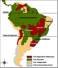 carte forêt Amazonie Amérique du Sud sensibilité végétation feu