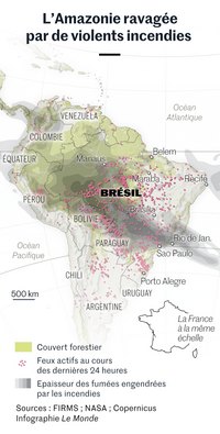 Carte des incendies en Amazonie avec les feux actifs, le couvert forestier et l'épaisseur des fumées