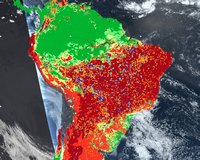 Carte des incendies en Amazonie avec les zones à risque en rouge