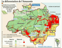 carte Amazonie légale villes États tribus