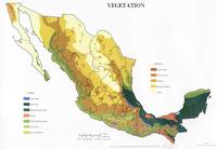 Carte de la végétation au Mexique.