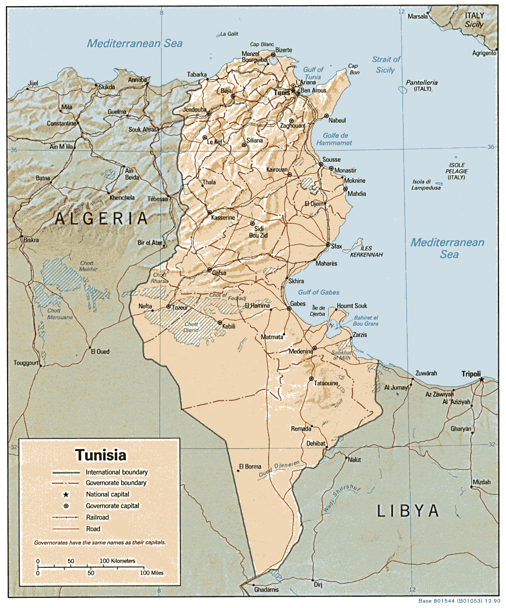 Carte physique de la Tunisie.
