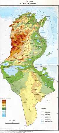 Carte du relief de la Tunisie avec l'altitude et les profondeurs.