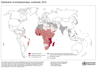 Carte du monde avec la répartition de la schistosomiase