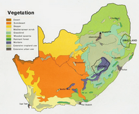 Carte de l'Afrique du Sud avec les differents type de vegetation