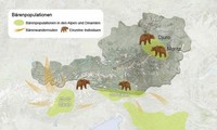 Carte de l'Autriche avec la population des ours