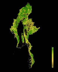 Carte Birmanie forêt