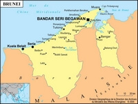 Carte Brunei simple