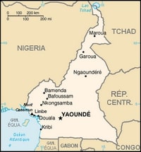 Carte Cameroun villes