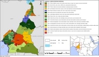 Carte Cameroun moyens existence type culture