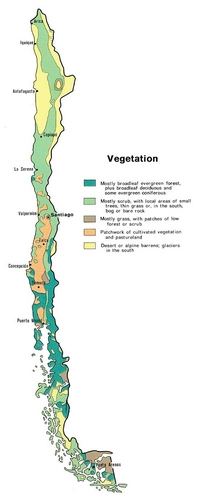 Carte Chili type végétation